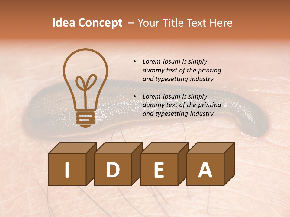 Shape Stamp Banner PowerPoint Template