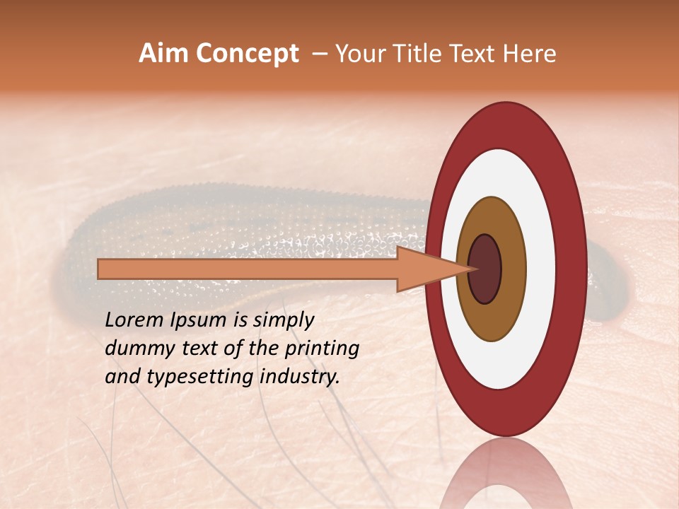 Shape Stamp Banner PowerPoint Template