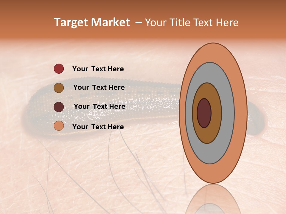 Shape Stamp Banner PowerPoint Template