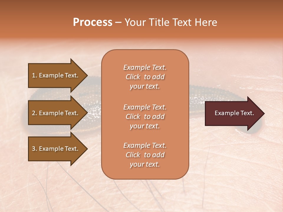 Shape Stamp Banner PowerPoint Template