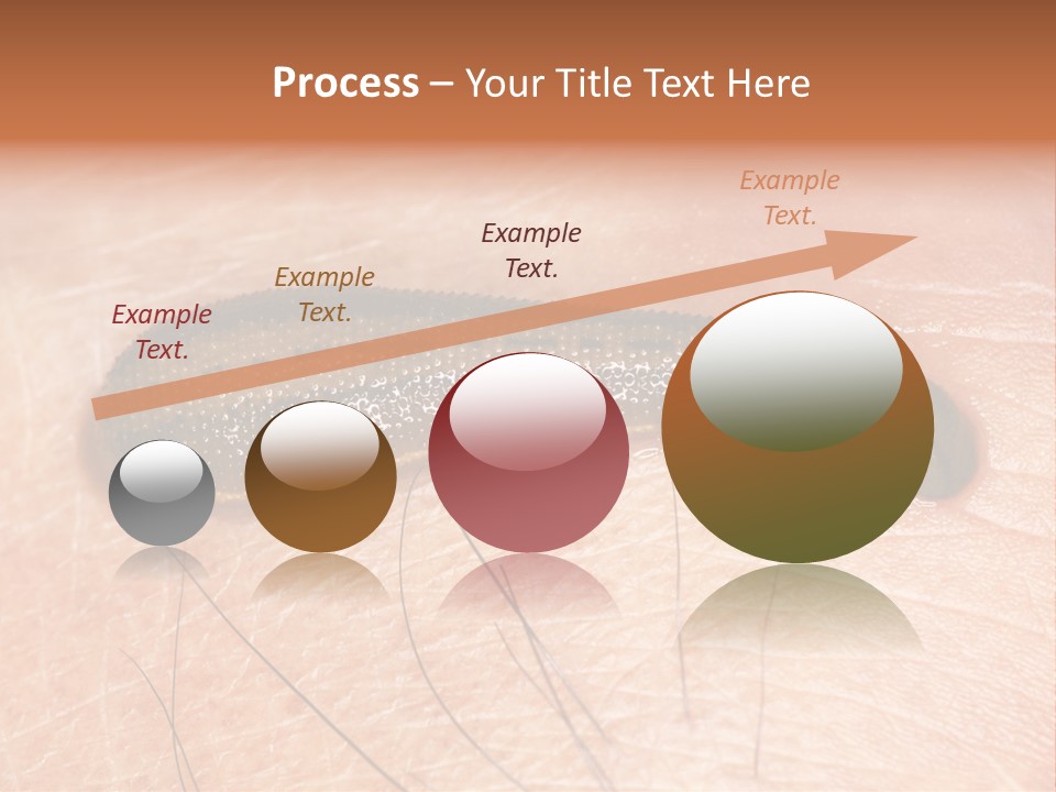 Shape Stamp Banner PowerPoint Template