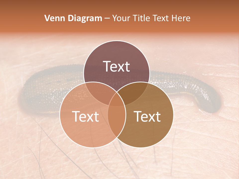 Shape Stamp Banner PowerPoint Template