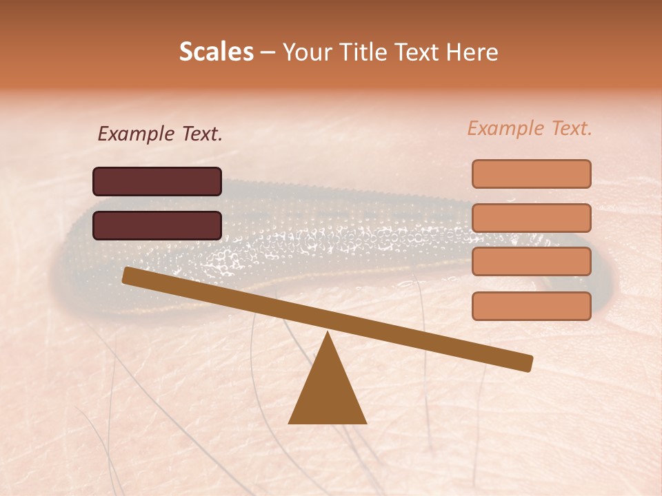 Shape Stamp Banner PowerPoint Template