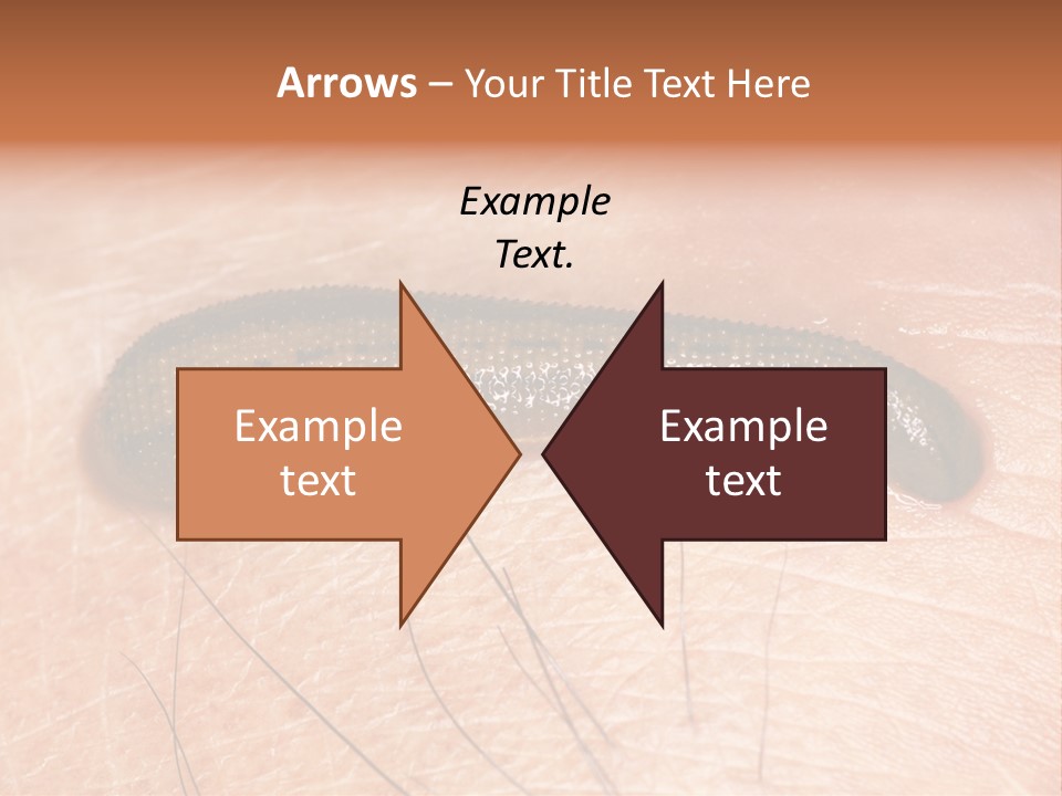 Shape Stamp Banner PowerPoint Template