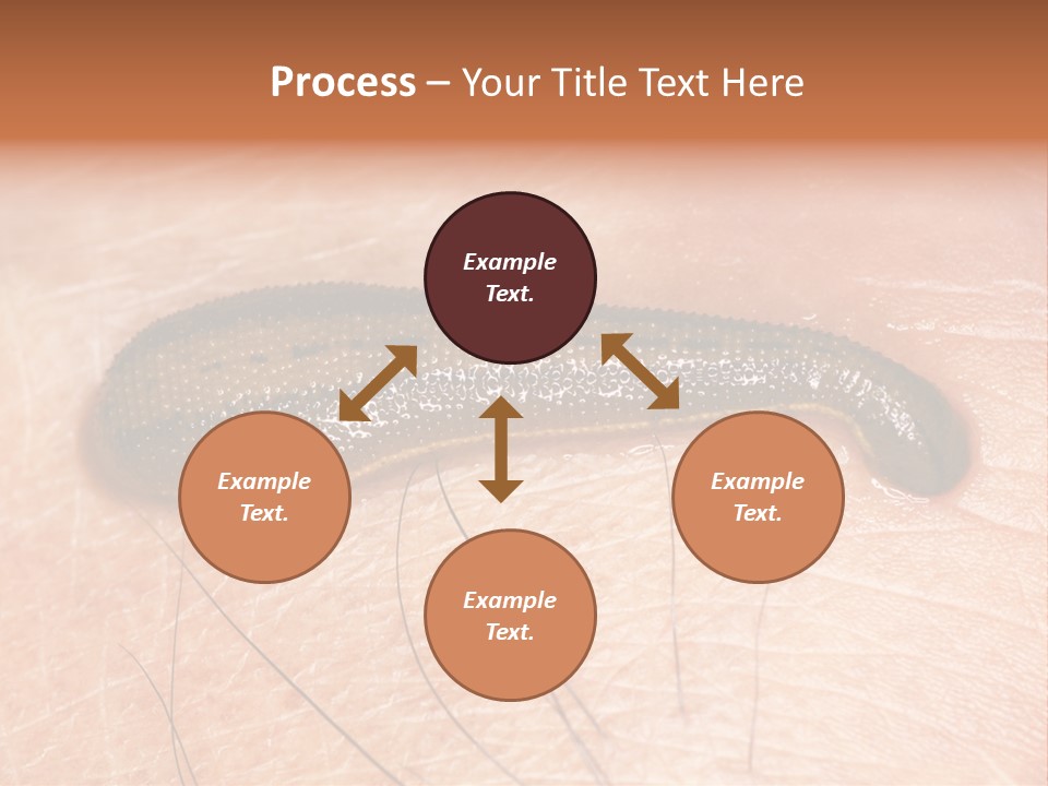 Shape Stamp Banner PowerPoint Template