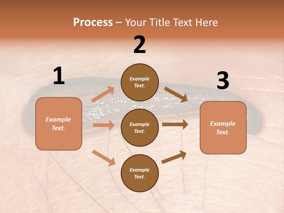 Shape Stamp Banner PowerPoint Template