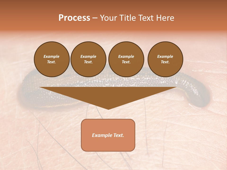 Shape Stamp Banner PowerPoint Template