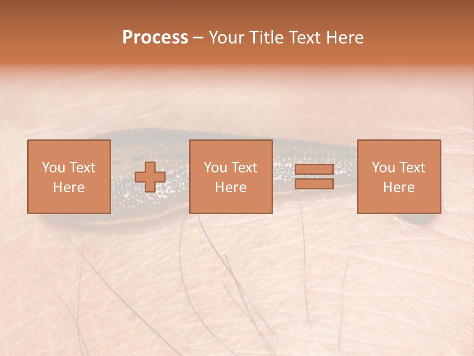 Shape Stamp Banner PowerPoint Template