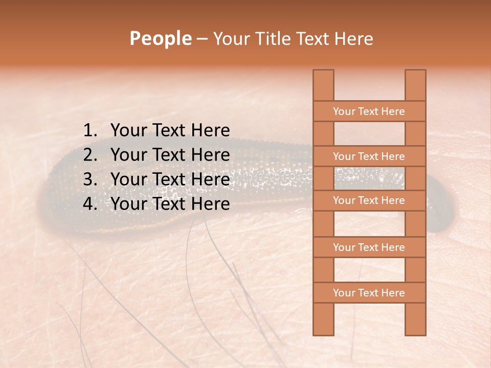 Shape Stamp Banner PowerPoint Template