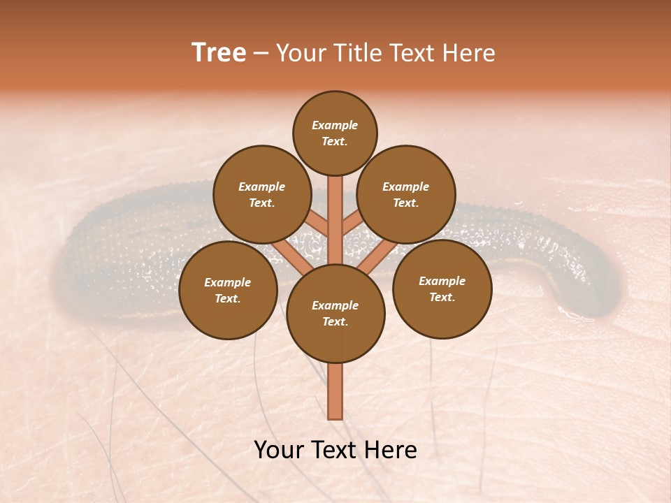 Shape Stamp Banner PowerPoint Template