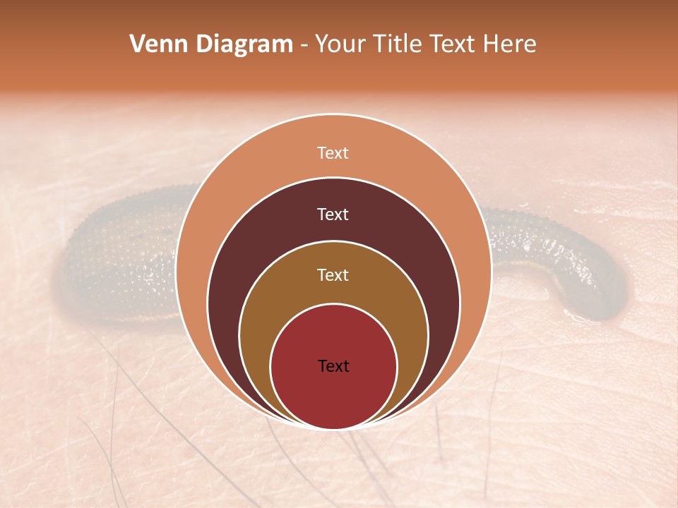 Shape Stamp Banner PowerPoint Template