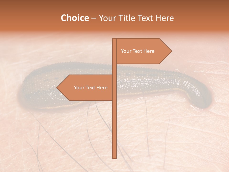 Shape Stamp Banner PowerPoint Template