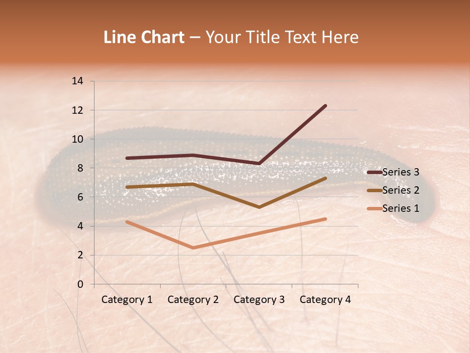 Shape Stamp Banner PowerPoint Template