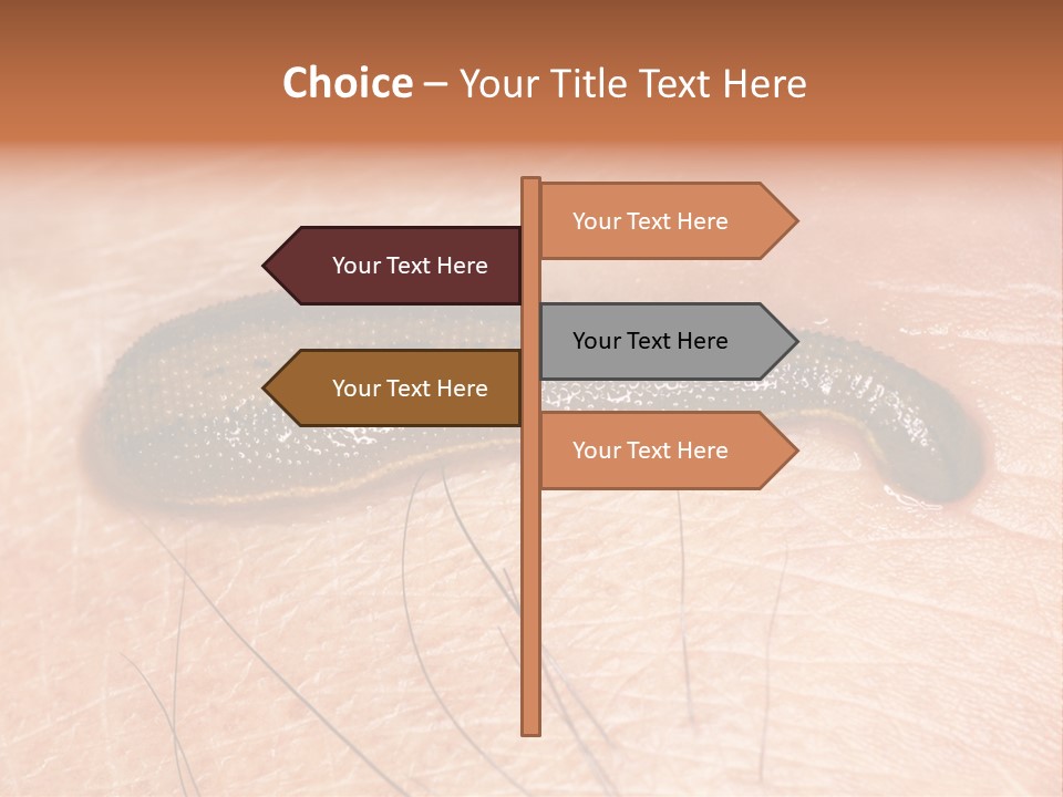 Shape Stamp Banner PowerPoint Template