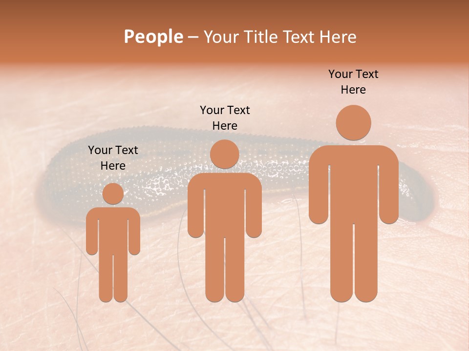 Shape Stamp Banner PowerPoint Template