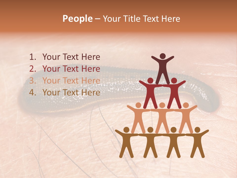 Shape Stamp Banner PowerPoint Template