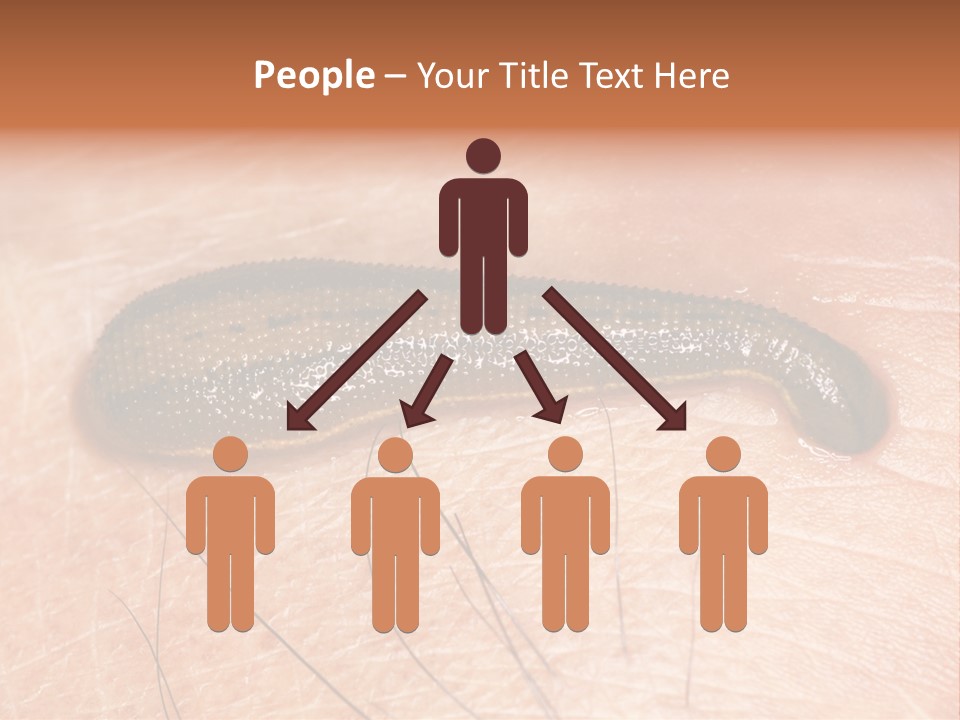 Shape Stamp Banner PowerPoint Template