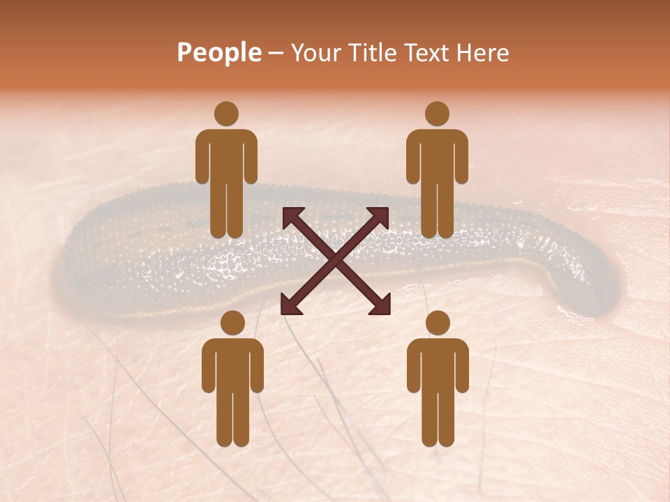 Shape Stamp Banner PowerPoint Template