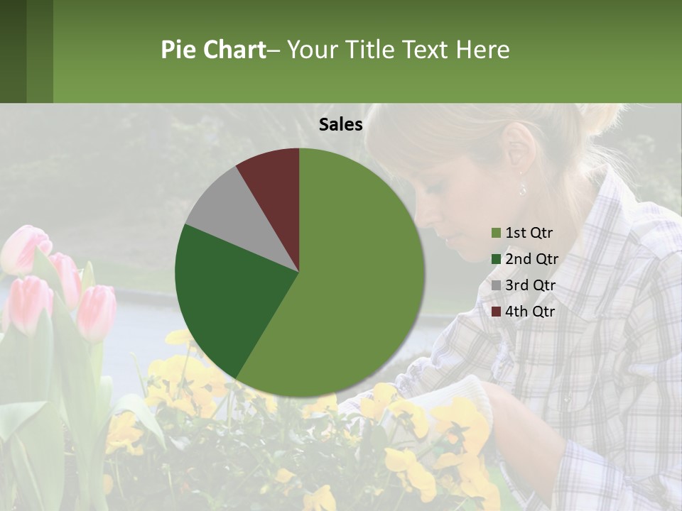 Star Stamp Girl PowerPoint Template