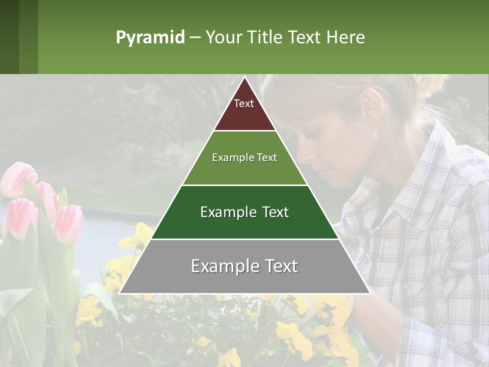 Star Stamp Girl PowerPoint Template