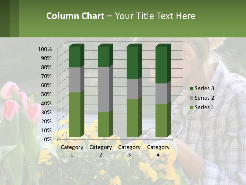 Star Stamp Girl PowerPoint Template