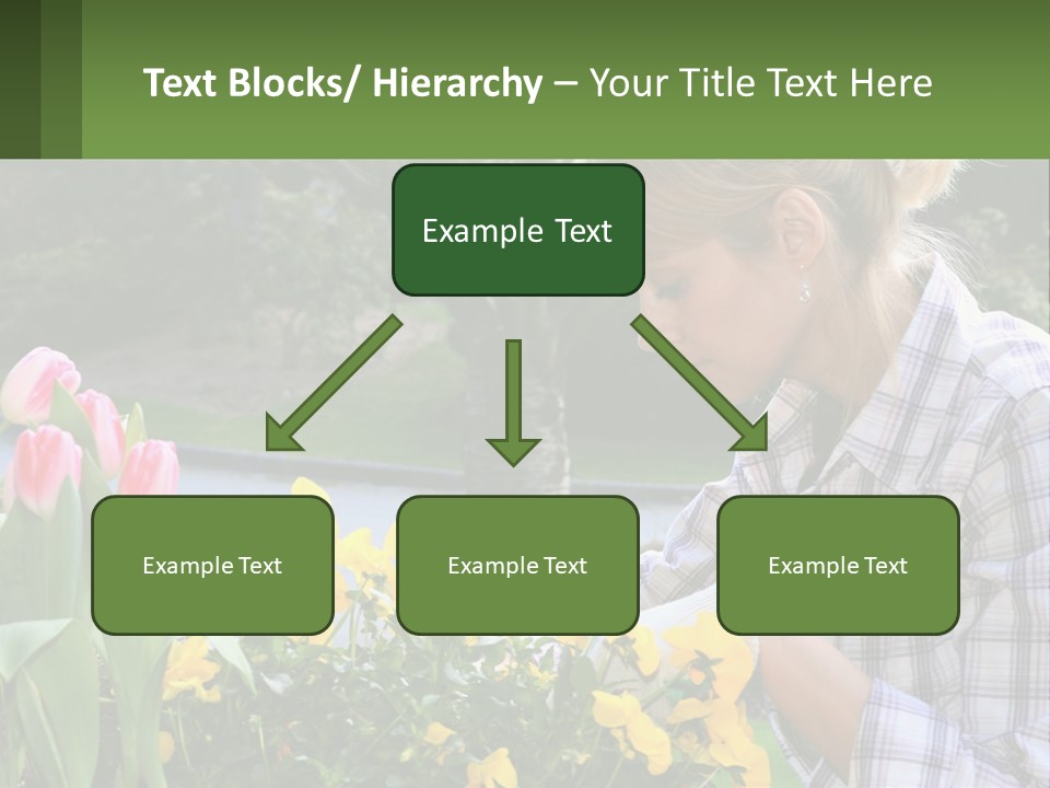 Star Stamp Girl PowerPoint Template