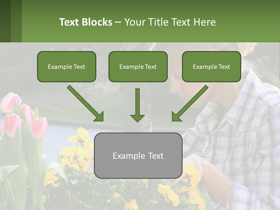 Star Stamp Girl PowerPoint Template