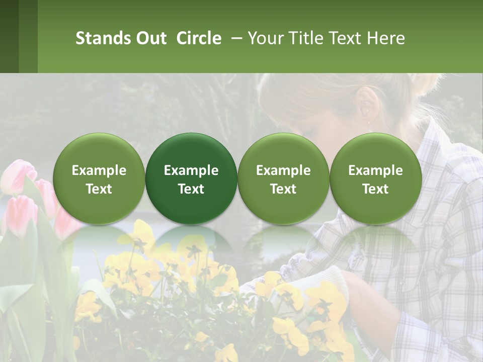 Star Stamp Girl PowerPoint Template