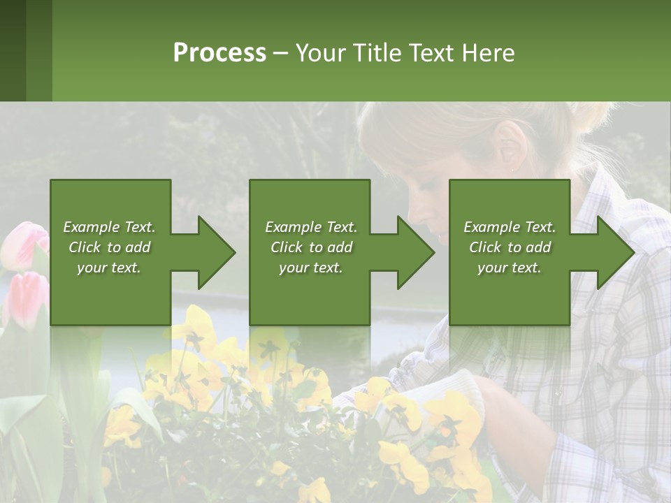 Star Stamp Girl PowerPoint Template