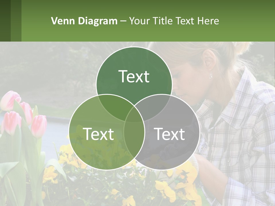 Star Stamp Girl PowerPoint Template