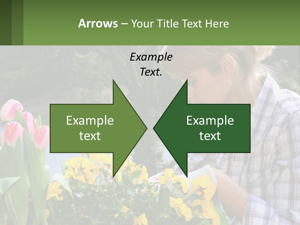 Star Stamp Girl PowerPoint Template