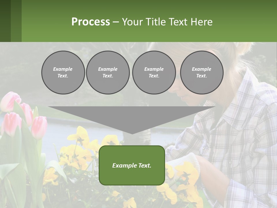 Star Stamp Girl PowerPoint Template