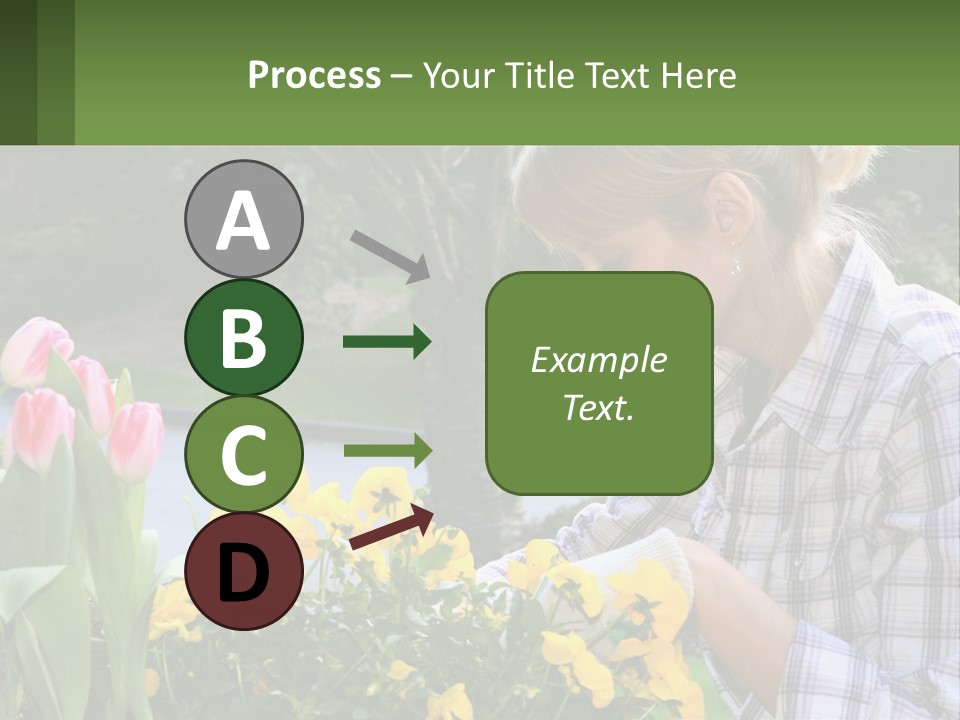 Star Stamp Girl PowerPoint Template