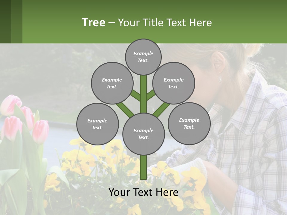 Star Stamp Girl PowerPoint Template