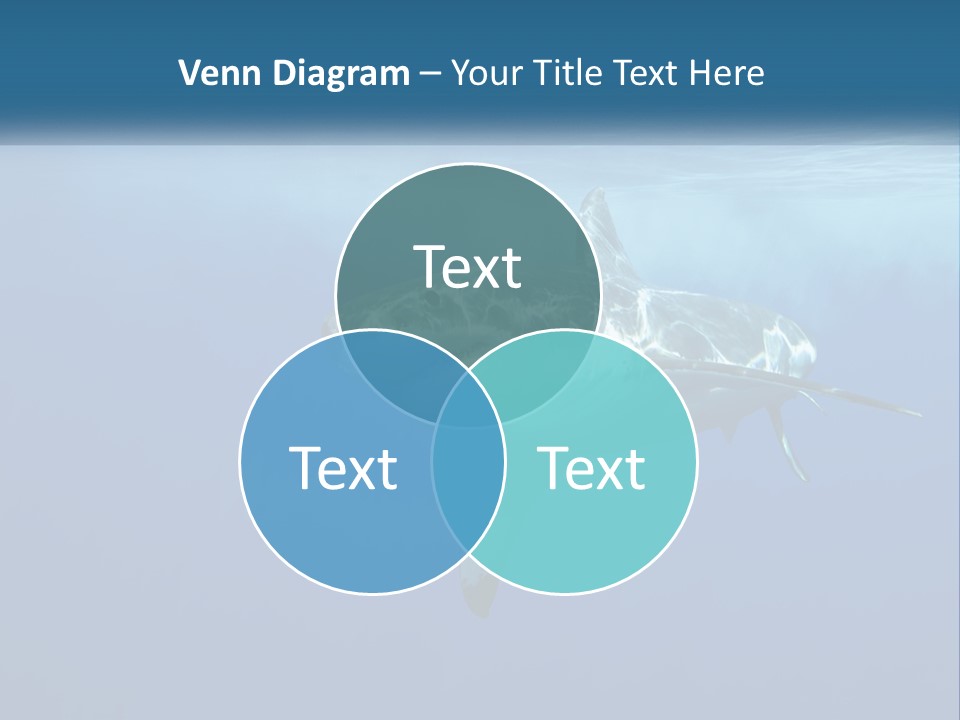 Isolated Birthday Decor PowerPoint Template