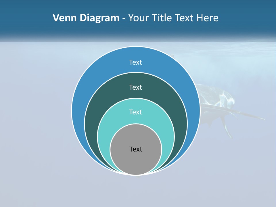 Isolated Birthday Decor PowerPoint Template
