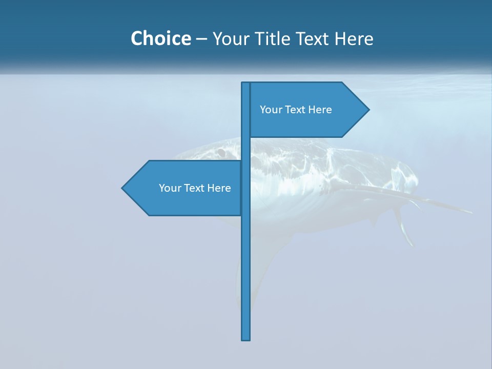 Isolated Birthday Decor PowerPoint Template