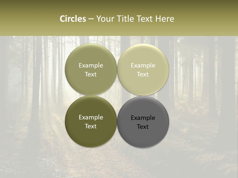 Birthday Shape Chocolate PowerPoint Template