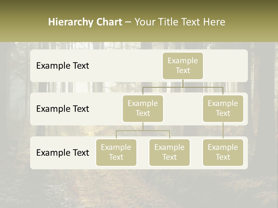 Birthday Shape Chocolate PowerPoint Template