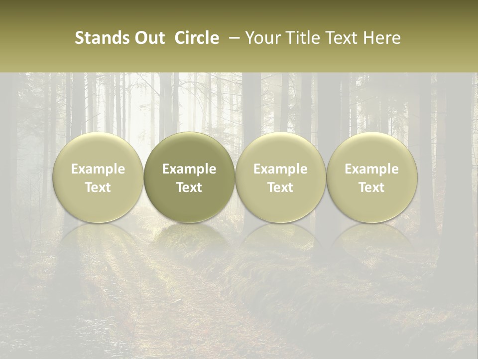 Birthday Shape Chocolate PowerPoint Template