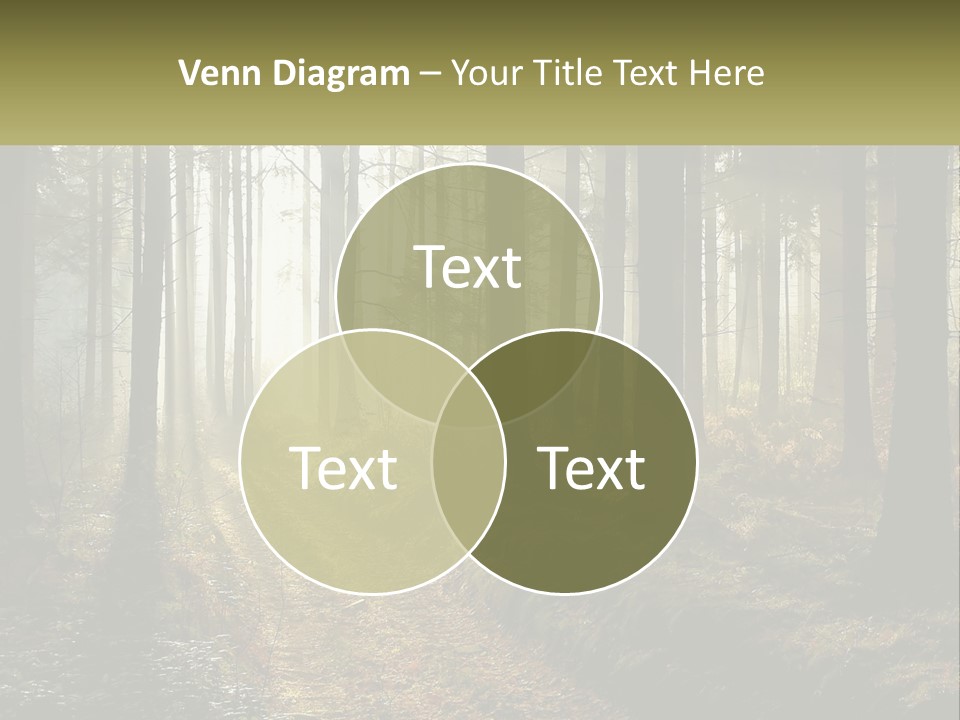 Birthday Shape Chocolate PowerPoint Template