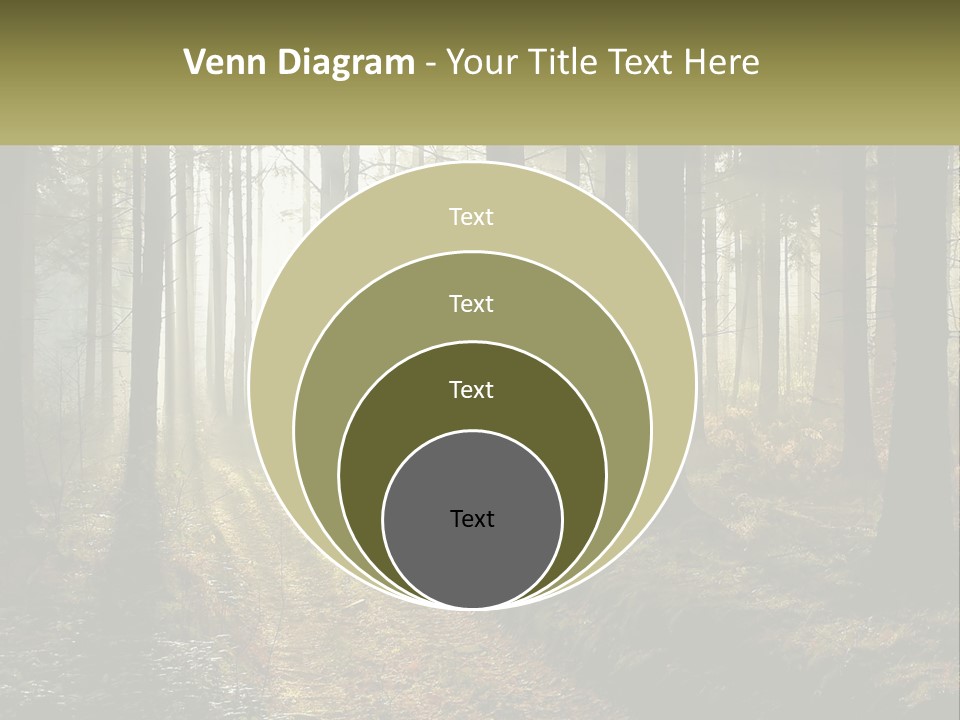 Birthday Shape Chocolate PowerPoint Template