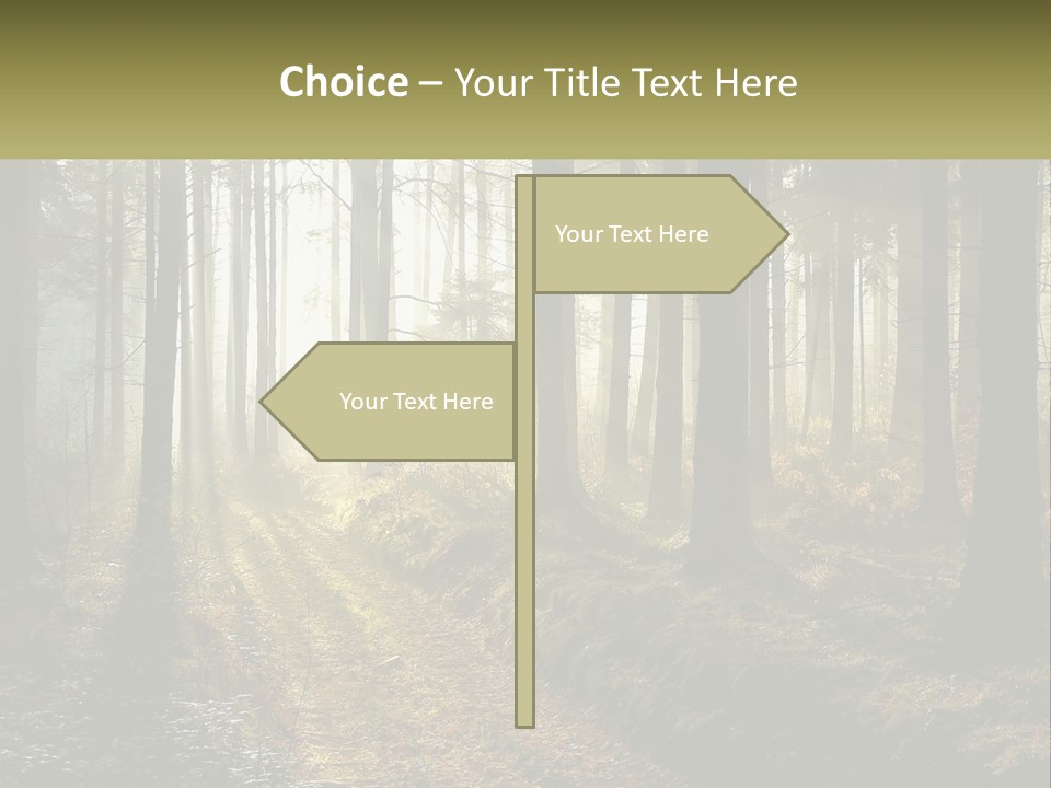 Birthday Shape Chocolate PowerPoint Template