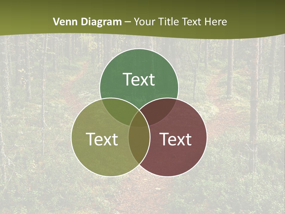 Design Holiday Girl PowerPoint Template