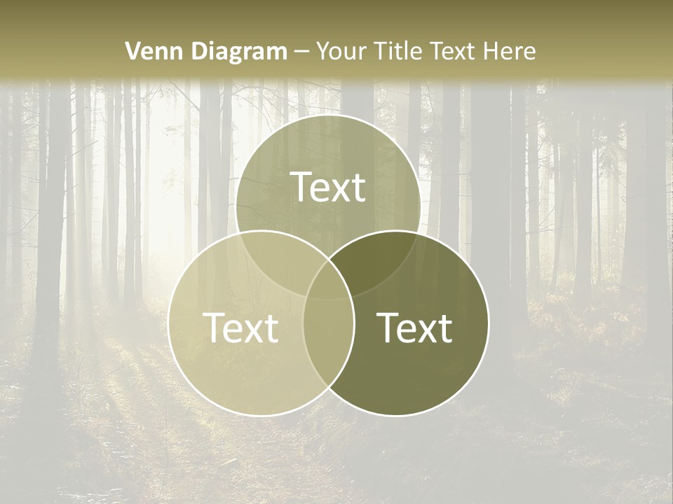 Pink Children Gift PowerPoint Template