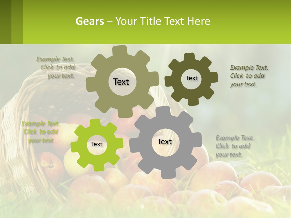 Card Star Design PowerPoint Template