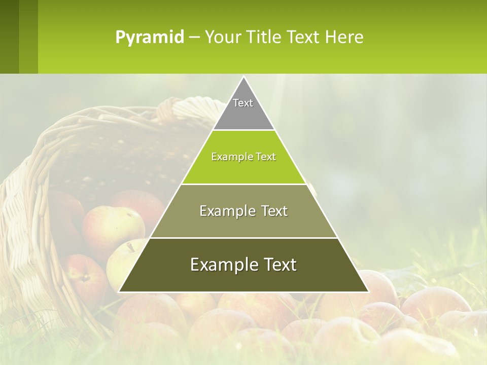 Card Star Design PowerPoint Template