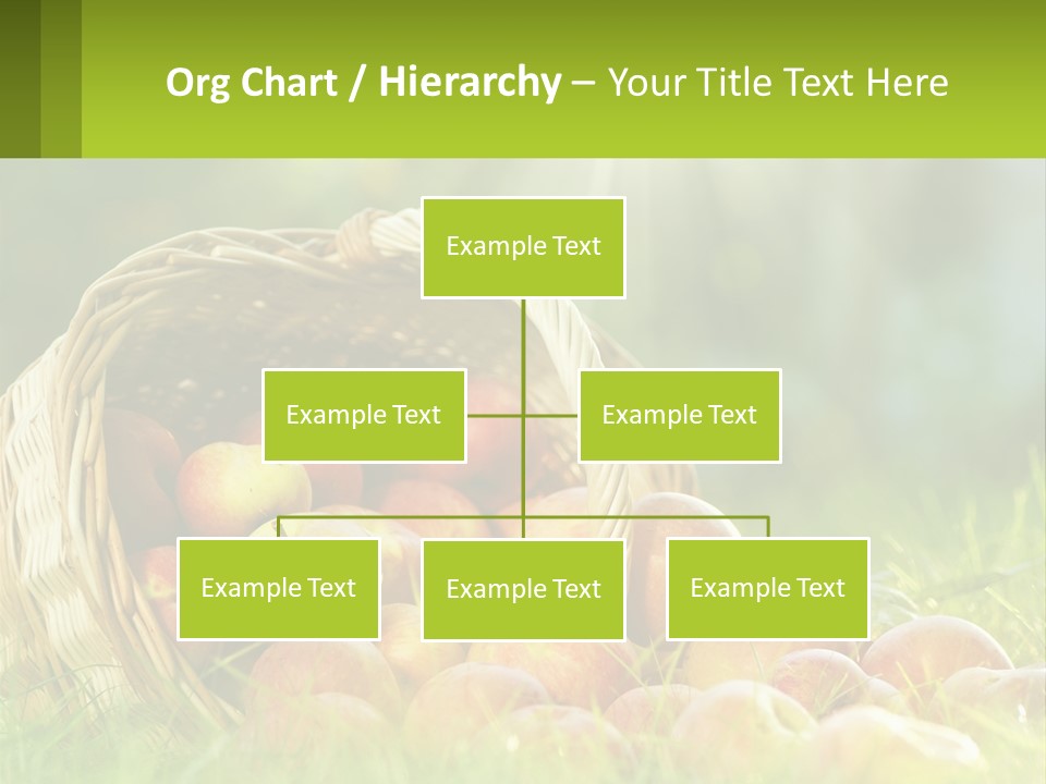 Card Star Design PowerPoint Template
