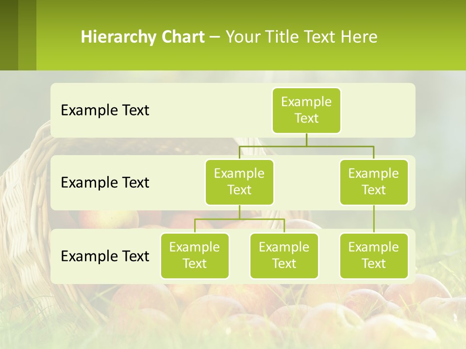Card Star Design PowerPoint Template