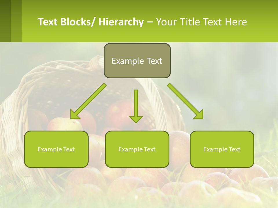 Card Star Design PowerPoint Template